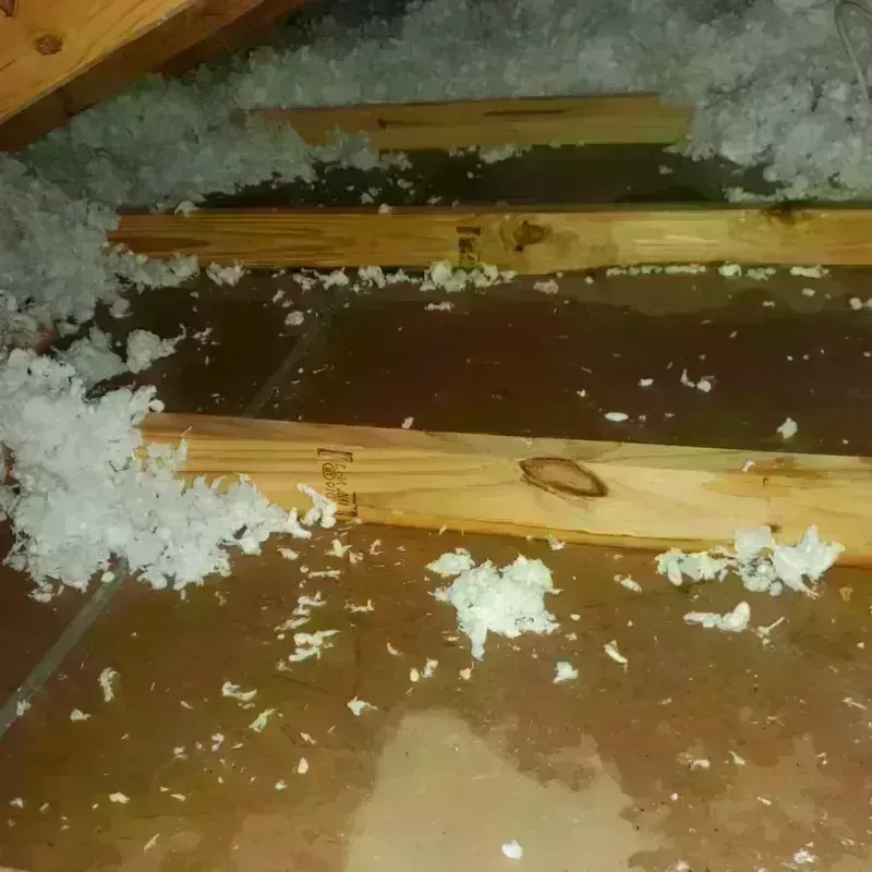 Attic Water Damage in Keyes, CA