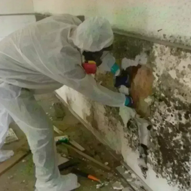 Mold Remediation and Removal in Keyes, CA