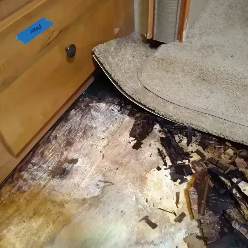 Wood Floor Water Damage in Keyes, CA